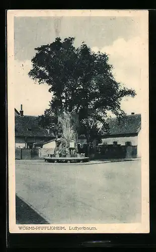 AK Worms-Pfiffligheim, Der Lutherbaum