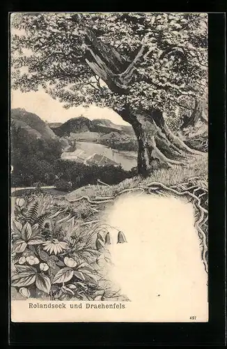 AK Rolandseck, Rolandseck und Drachenfels
