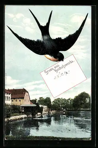 Künstler-AK Bischofswerda, Schwalbe mit Brief über Ortspartie am Wasser