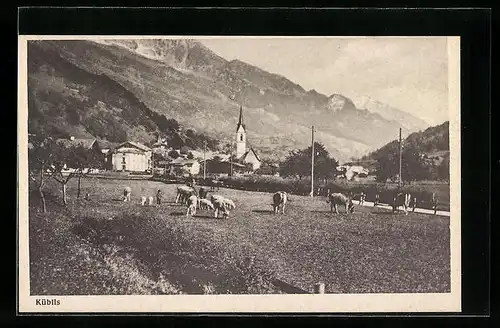 AK Küblis, Panorama von einer Weide aus gesehen, mit weidenden Tieren