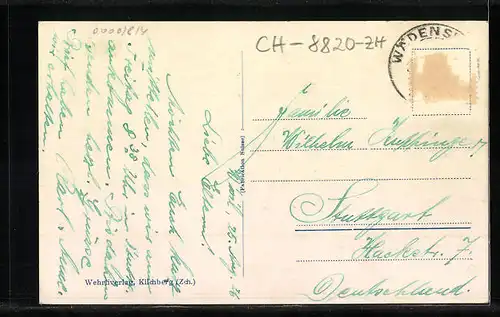 AK Wädenswil, Teilansicht mit Kirche aus der Vogelschau