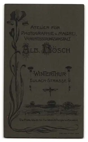 Fotografie Alb. Bösch, Winterthur, Eulachstr. 9, Portrait stattlicher Herr mit Bart