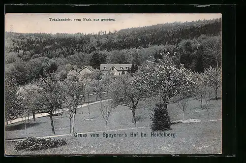 AK Heidelberg, Restaurant Speyers Hof mit Park