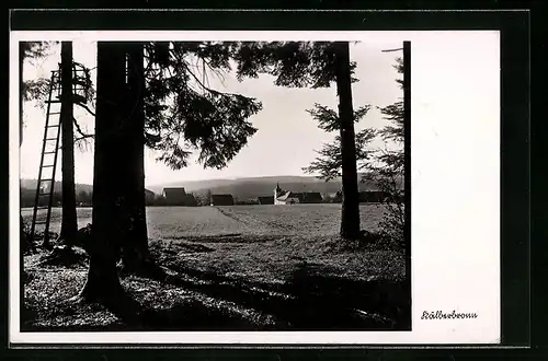 AK Kälberbronn, Blick durch Bäume mit Hochstand auf den Ort