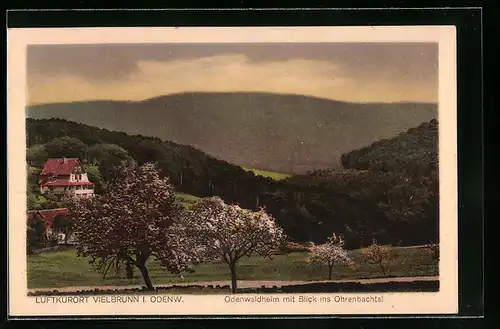 AK Vielbrunn i. Odenw., Odenwaldheim mit Blick ins Ohrenbachtal