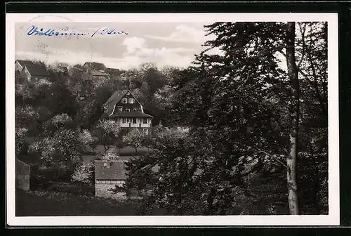 AK Vielbrunn i. Odw., Blick aufs Odenwaldheim