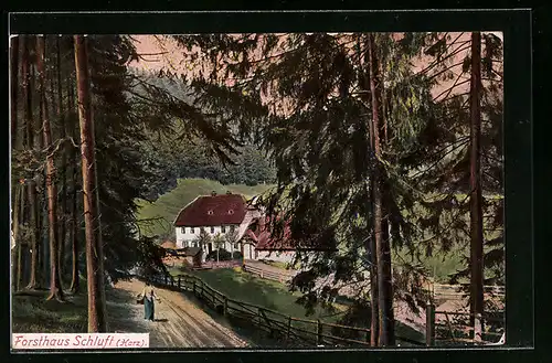 AK Schluft / Harz, Blick zum Forsthaus