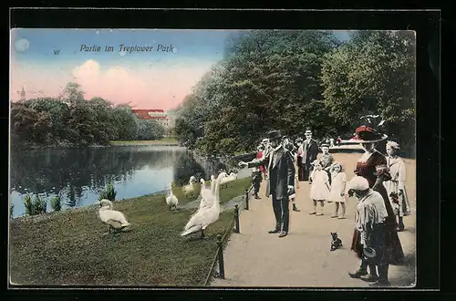 AK Berlin, Schwanfütterung im Treptower Park