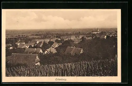 AK Ortenberg, Blick vom Berg aus die Ortschaft