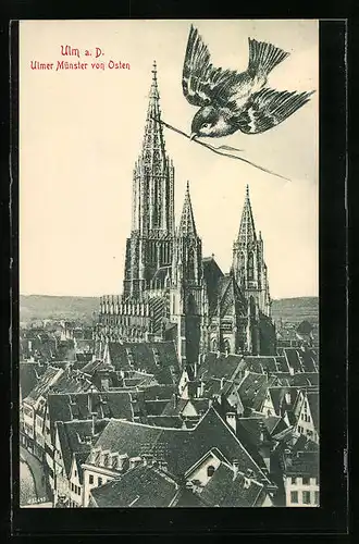 AK Ulm a. D., Ulmer Münster von Osten