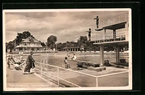 AK Bad Homburg, Seedammbad