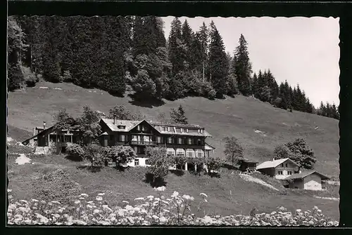 AK Brienz, Naturfreundehaus Planalp