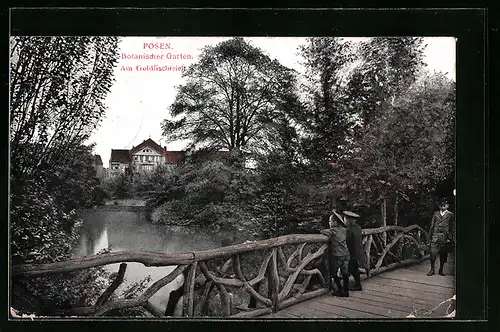 AK Posen, Botanischer Garten, Goldfischteich