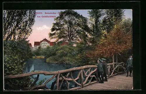 AK Posen, Botanischer Garten, Goldfischteich