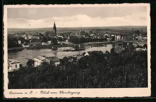 AK Crossen a. O., Blick vom Weinbergweg