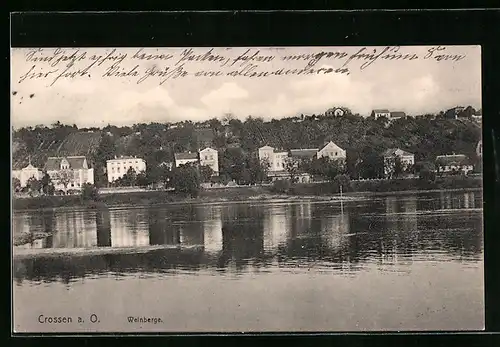 AK Crossen a. O., Weinberge von der anderen Seite des Flusses gesehen