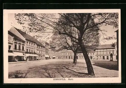 AK Sommerfeld, Blick durch Bäume auf den Markt