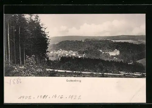 AK Guttenberg, Der Ort aus der Vogelschau