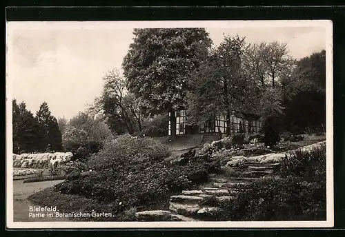 AK Bielefeld, Partie im Botanischen Garten