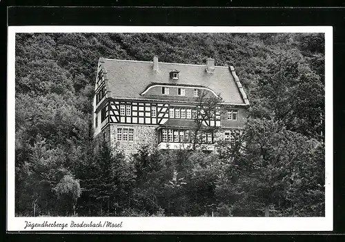 AK Brodenbach /Mosel, Blick über Bäume auf die Jugendherberge