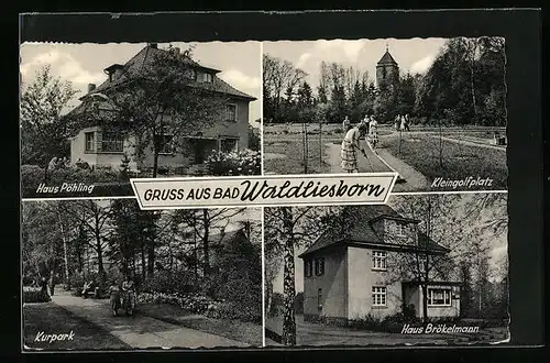 AK Bad Waldliesborn, Kleingolfplatz, Haus Pöhling, Haus Brökelmann
