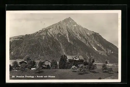 AK Aeschi, Hotel Friedegg mit Niesen