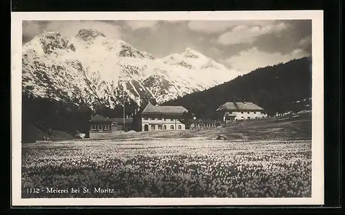 AK St. Moritz, Blick über Wiesen auf eine Meierei