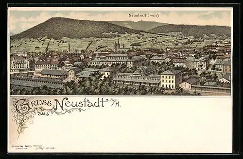 Lithographie Hamburg-Neustadt, Totalansicht aus der Vogelschau