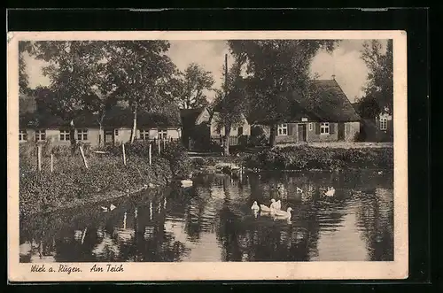 AK Wiek a. Rügen, Blick auf Wohnhäuser über den Teich