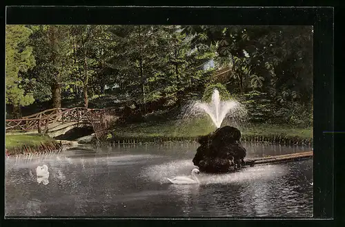 AK Apolda, Schwanenteich mit Springbrunnen