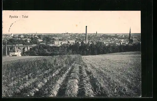 AK Apolda, Totalansicht des Ortes über Felder