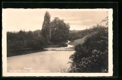 AK Apolda, an der Hermann-Löns-Promenade