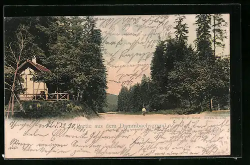 AK Bad Berka, Partie vom Dammbachsgrund