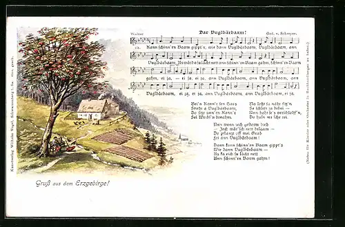 Künstler-AK Gruss aus dem Erzgebirge, Lied Dar Vuglbärbaam!