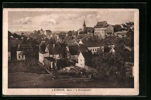 AK Leisnig, Blick von der Eulenbergstr.