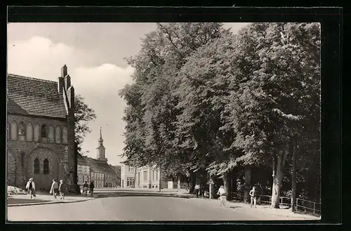 AK Templin /Um., Blick an Bäumen entlang zum Ort