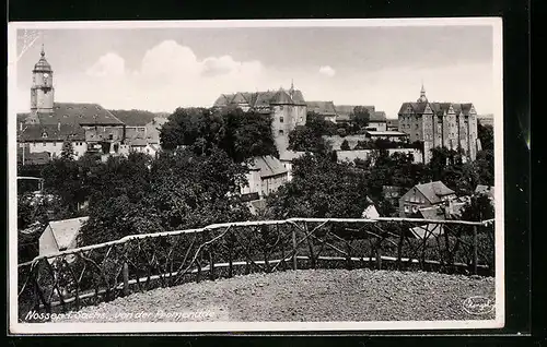 AK Nossen i. Sachs., Blick von der Promenade