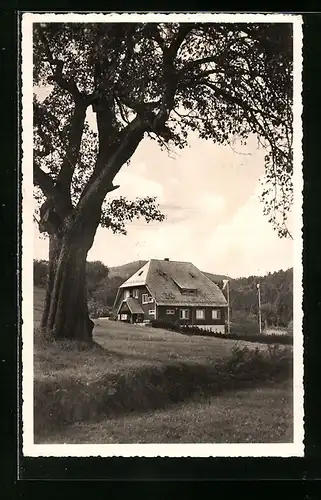 AK Herrenalb im Gaistal, Wanderheim des Schwarzwaldvereins