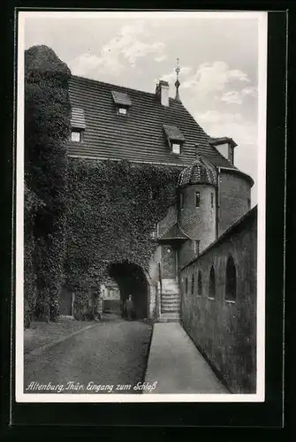 AK Altenburg /Thür., Eingang zum Schloss