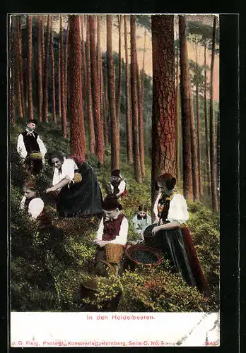 AK Frauen im Wald beim Heidelbeerpflücken