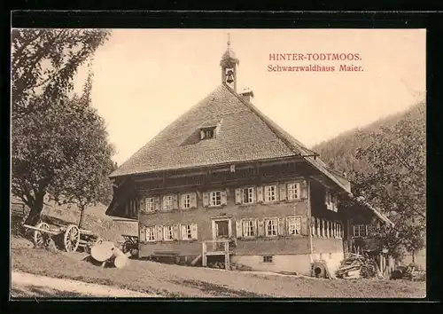 AK Hinter-Todtmoos, Blick auf das Schwarzwaldhaus Maier