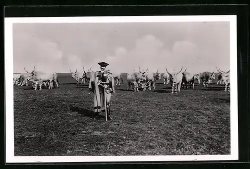 AK Hortobágy, Kuhhirte in örtlicher Tracht