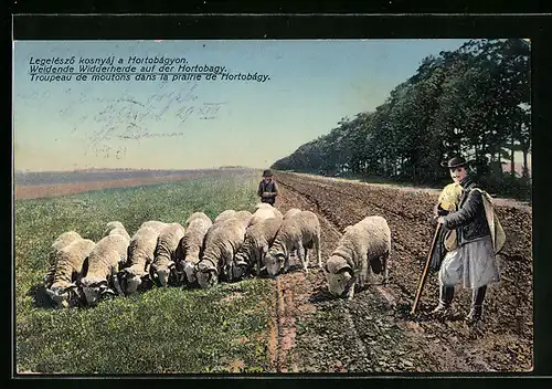 AK Hortobagy, Weidende Widderherde mit Schäfer und Knaben