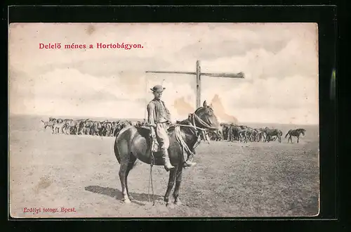 AK Hortobágy, Pferdehirte mit Peitsche und Lasso
