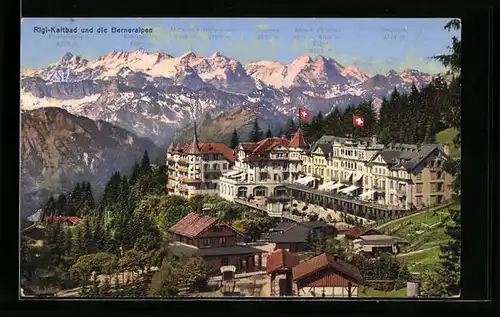 AK Rigi-Kaltbad, Teilansicht und die Berneralpen mit Wetterhorn, Mönch und Jungfrau