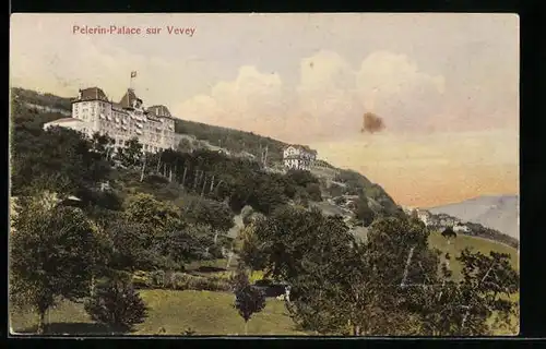 AK Vevey, Hotel Pelerin-Palace