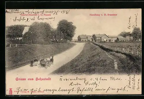 AK Sehestedt, Gasthaus v. C. Paasch, Handlung v. D. Brammer, Fuhrwerk