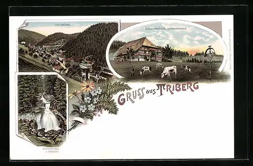 Lithographie Triberg, Bauernhaus, Gesamtansicht, Wasserfall