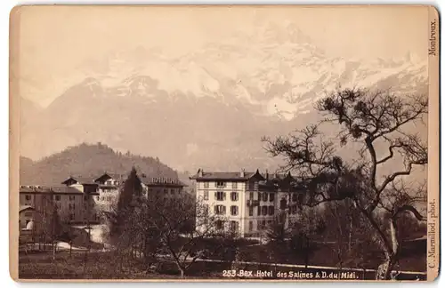 Fotografie C. Marmillod, Montreux, Ansicht Bex, Blick nach dem Hotel des Salines & D. du Midi, 1886