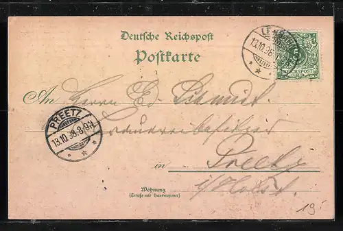 Lithographie Lensahn, Hotel, Bahnhofsrestaurant, Oberförsterei, Schloss Güldenstein